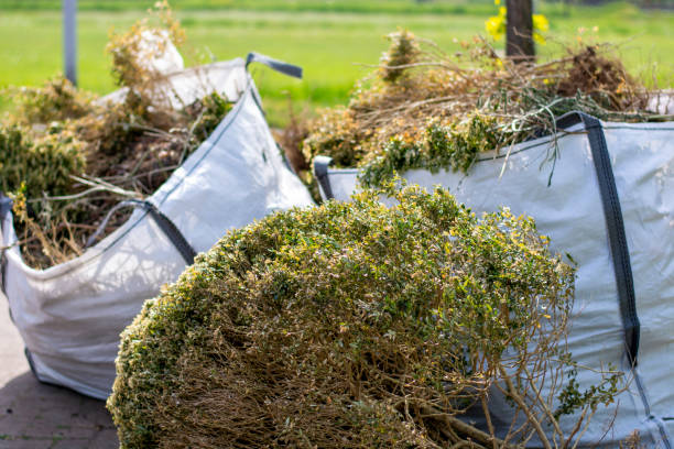 Best Commercial Junk Removal  in Chalco, NE